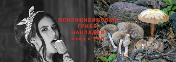 твердый Корсаков