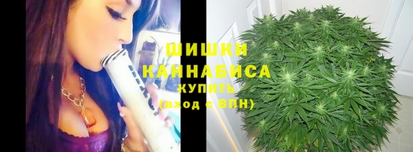 марихуана Коряжма