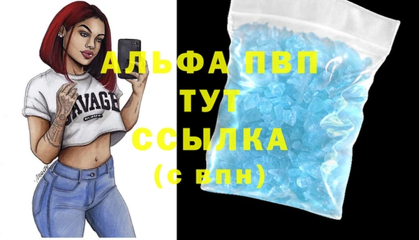 твердый Корсаков